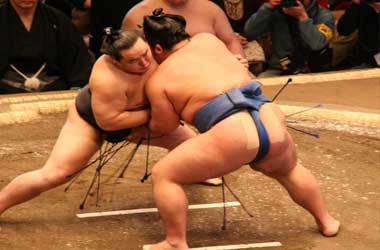 Sumo Wrestling