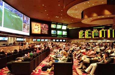 Online Sports Betting Continues To Thrive In Canada