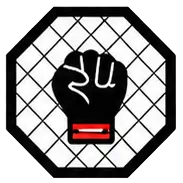 MMA/UFC
