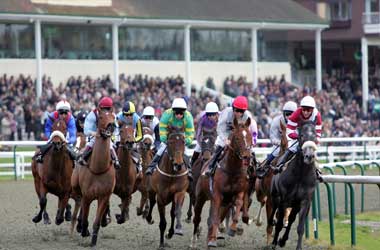 Lingfield Race Course