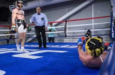 Team McGregor Leak Photo Of Malignaggi Down On The Canvas