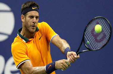 Del Potro defeated John Isner in U.S. Open Quarterfinals