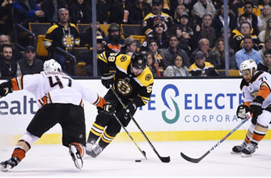 Jaroslav Halak Almost Earned Shutout as Boston Bruins Win Against the Mighty Ducks
