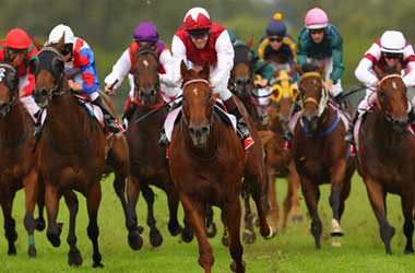 Top Canadian Sports Betting Sites For Horse Racing