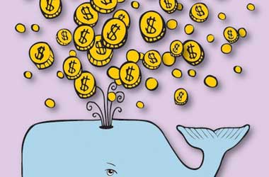 What's a Betting Whale and How to Become One? betting whale